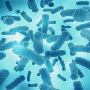 冷却水系统的军团菌控制方法